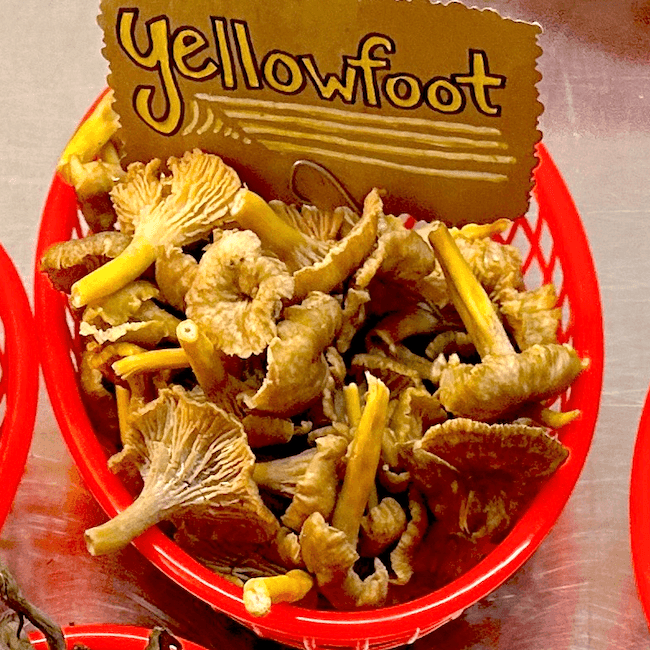 Wild Yellowfoot Mushrooms 4 oz