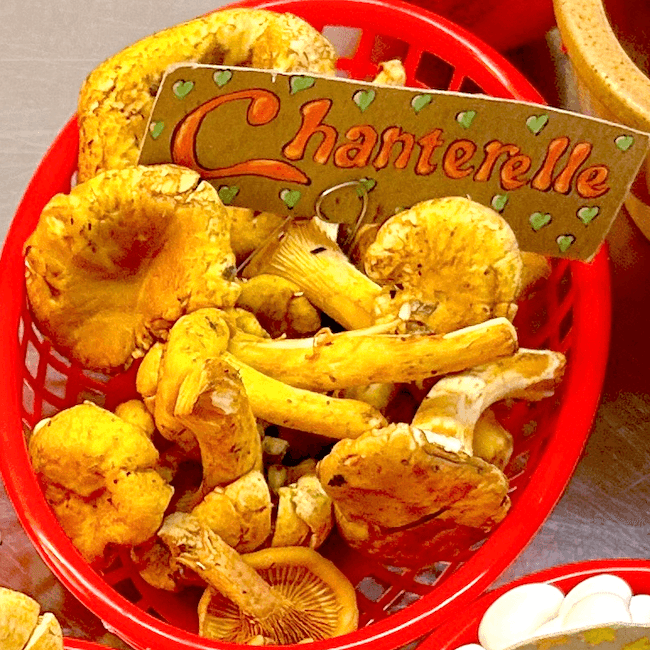 Wild Chanterelle Mushrooms 4 oz