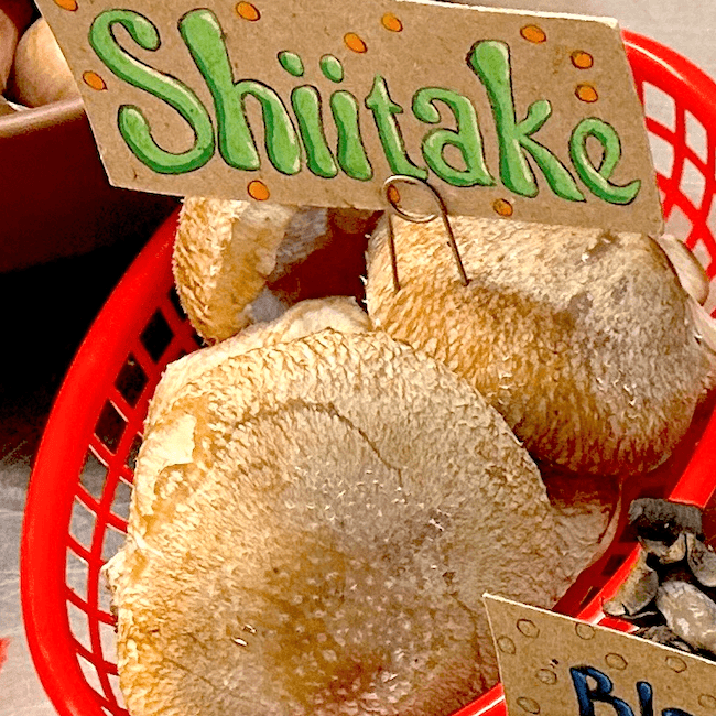 Cultivated Shiitake Mushrooms 8 oz