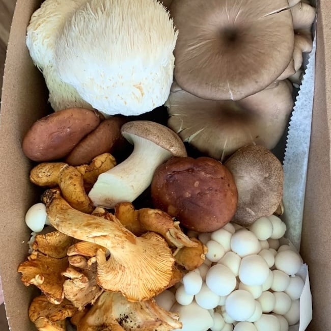 Mushroom Specialty Box 1.5 lb