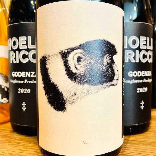 2020 Noelia Riccia "Godenza" Predappio