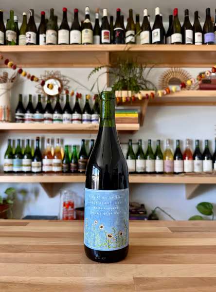 2024 Lady of the Sunshine Pinot Noir Bassi Vineyard