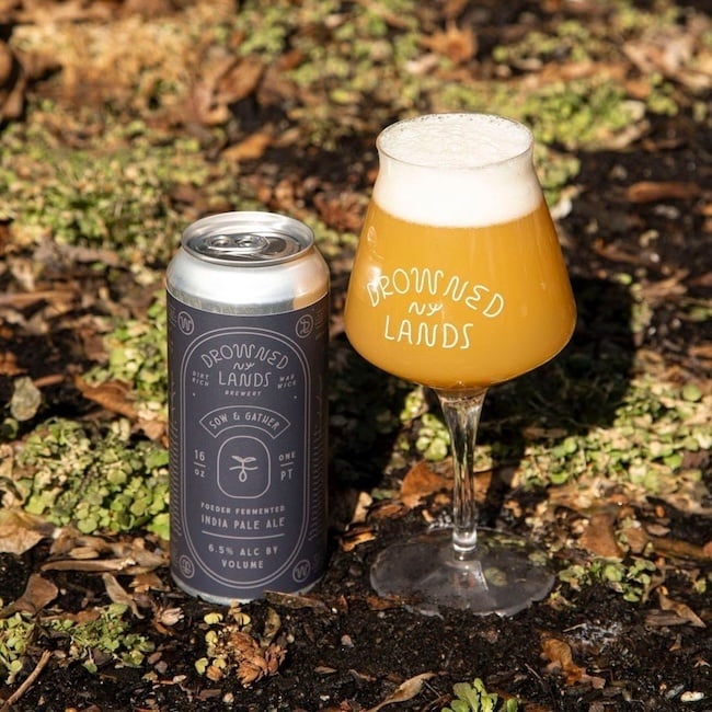 Drowned Lands Sow & Gather IPA 4pk
